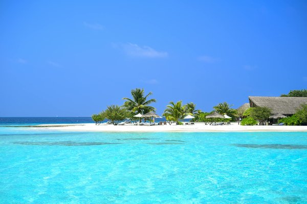 Uncover History: Top UK Archaeological Digs You Can Participate In